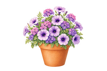 Fototapeta premium Flowering plant showing vibrant purple and pink blossoms of petunias and verbenain a terracotta container