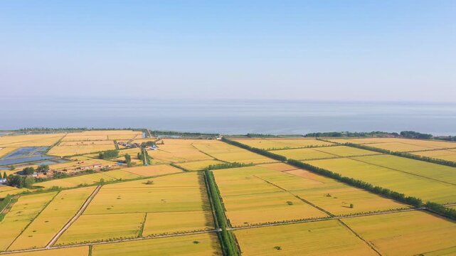 Aerial View of Coastal Agricultural Fields and Rural Roads