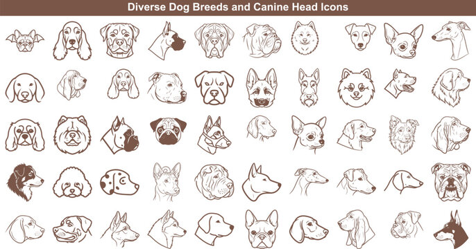 Set of diverse dog breed head icons in simple line art style for pet projects