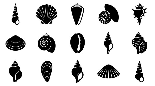 Seashell icons set showing spiral, conch, scallop, and wave shell shapes in bold black vector silhouettes