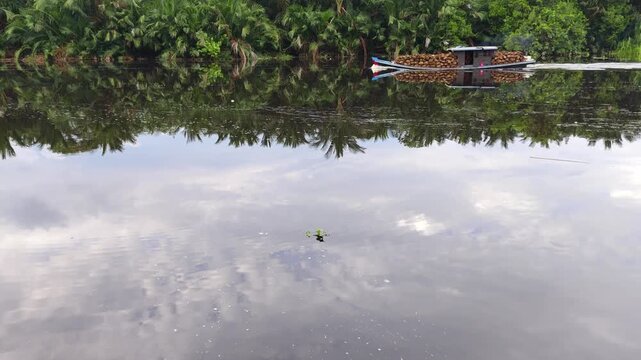 A traditional boat loaded with fresh palm oil fruit bunches sails across a calm river, creating a stunning mirror reflection. Lush tropical palm trees line the riverbank under bright daylight.