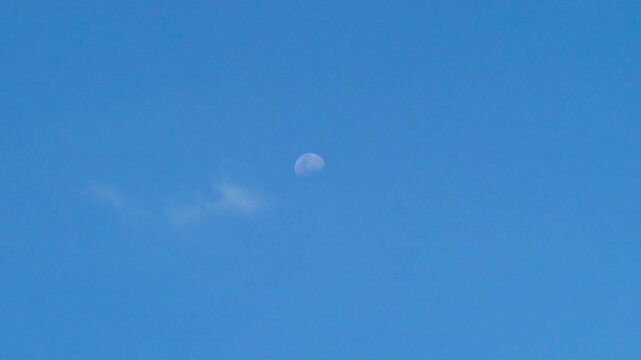 Daytime moon in clear blue sky with white cloud