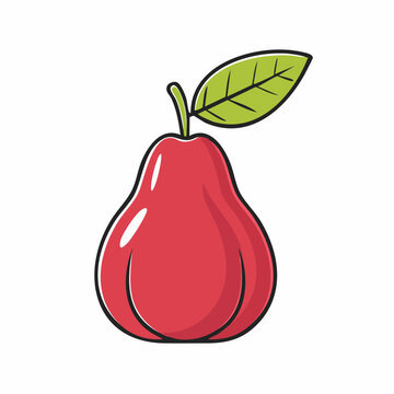 Red Rose Apple Fruit Illustration
