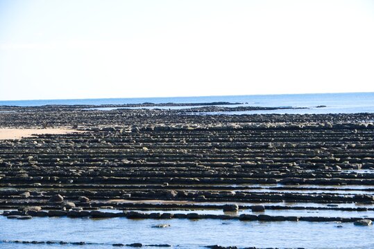 The unique 'Devil's Washboard' rock formations at the sea