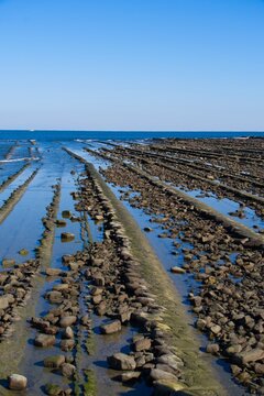 Devil's Washboard rock formations on the coast of Miyazaki Japan.