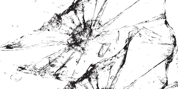 pterodactyl wing sketch black and white illustration on white background