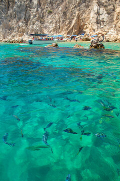 Cabo San Lucas Baja Califronia Sur, MEXICO, lugar turistico famoso en el sur de la peninsula. Avistamiento de peces en el agua azul turquesa, cerca a playa del amor. Verrtical.