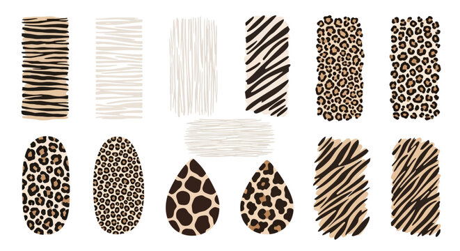 Animal print patterns, safari texture designs, leopard spots, zebra stripes, 10 unique vector illustrations