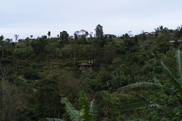 Fototapeta premium Traditional house hidden in tropical jungle hillside, Munduk, Bali