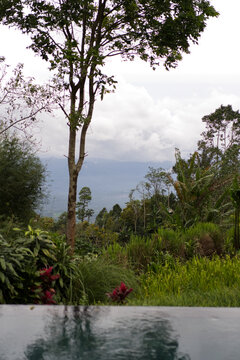 Tropical garden infinity pool with mountain valley view, Bali