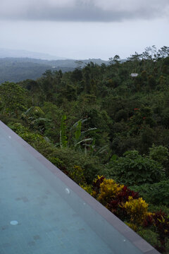 Infinity pool edge with tropical flowers and jungle view, Munduk, Bali