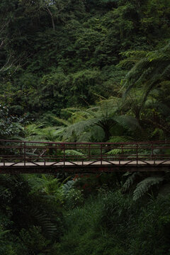 Old iron bridge in jungle near Banyumala Waterfall, North Bali