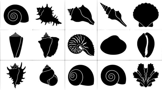 Seashell icons set with black silhouettes showing spiral, conch, scallop, and wave patterns for beach themed design