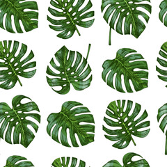 Hand drawn vintage seamless pattern of tropical monstera leaves in engraved botanical sketch style with green coloring © Mariia Mazaeva