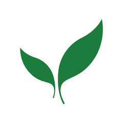 Fototapeta premium Green leaf vector 