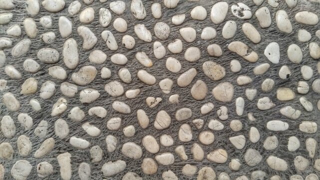 ​White pebble stone pavement texture background. Smooth river stones embedded in concrete sidewalk floor.