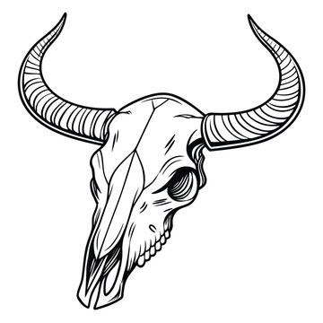 Vector illustration of a rustic bull skull with long horns in a detailed black and white line art style