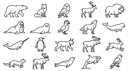Arctic animals icon set, minimalist polar wildlife line art vector, 20 northern fauna illustrations for winter nature education and logo design © Sidra