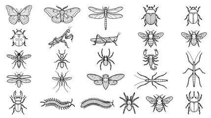 Vintage insect line art collection, set of 25 hand drawn bug icons, black and white entomology illustrations for educational biology and nature design © Sidra