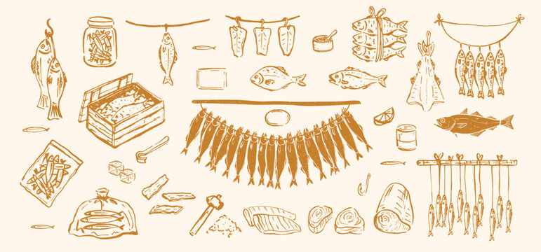 Set of detailed sketch depicting various preparations of fish. Hanging fish by a string, packed into a wooden crate, a glass jar, a plastic bag. Dried, smoked fish. Fish steakes. Food market concept.
