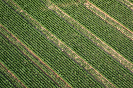 Campagne vue du ciel