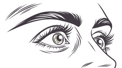 Fototapeta premium Vector illustration of human eyes and eyebrows in a close-up sketch style with eyesight eyebrows expression