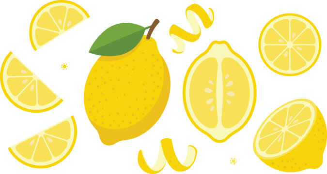 Lemon Fruit Collection Vector Illustration with Whole Half and Sliced Citrus Elements Isolated for Fresh Food and Healthy Nutrition Design