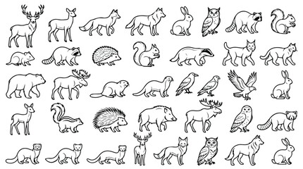 Hand drawn forest animals collection, set of 40 woodland creature line art icons, minimalist black and white wildlife vector illustrations © Sidra