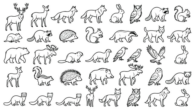 Hand drawn forest animals collection, set of 40 woodland creature line art icons, minimalist black and white wildlife vector illustrations
