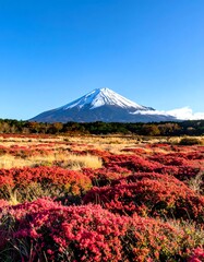 Naklejka premium Snow capped mountain landscape with vibrant red bushes under a clear blue sky