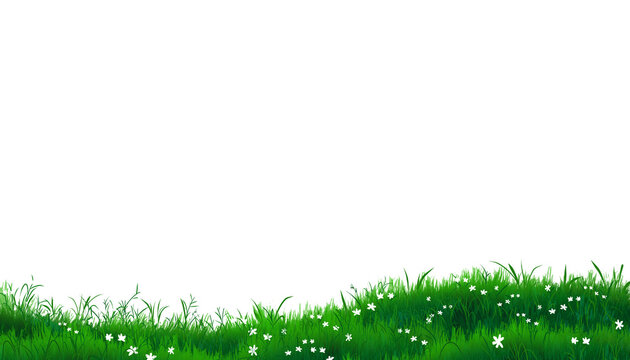 Meadows and white flowers against a transparent background; a digitally drawn illustration used for spring-themed designs.green grass background