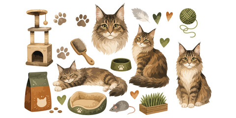 watercolor cute maine coon cat collection © dian's