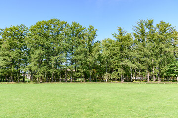 Fototapeta premium 帯広 緑ヶ丘公園400mベンチ 