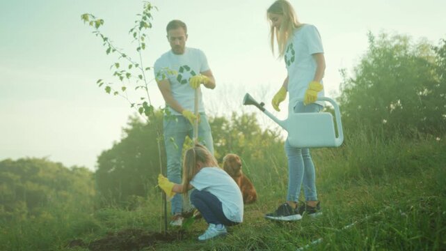 Family planting young tree in sunny field, Family collaboratively planting sapling amid natural landscape scene