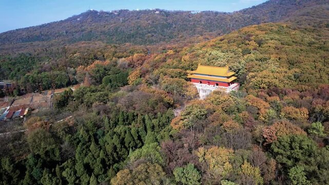 Ming Xiaoling Mausoleum in Autumn Forest, Nanjing in Ming Xiaoling Mausoleum, Nanjing, China