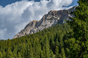 A stunning view of a rocky peak and a forested slope under a dramatic sky. © Mikhail