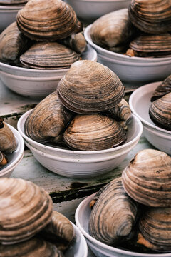 Bowls of fresh clams at Jagalchi seafood market