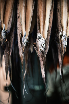 Drying hairtail fish at Jagalchi Market in Busan