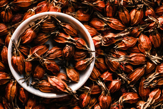 Dried gardenia fruit at Jagalchi Market
