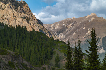 Dramatic mountain terrain with contrasting green coniferous forest and barren rocky summits. © Mikhail