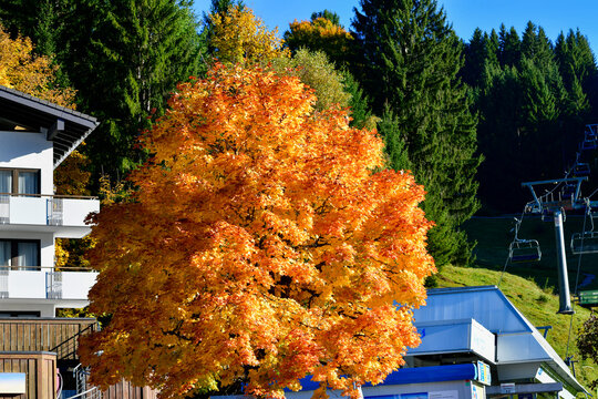 Talstation der Sesselbahn in Innerlaterns im herbstlichen Laternsertal, Vorarlberg