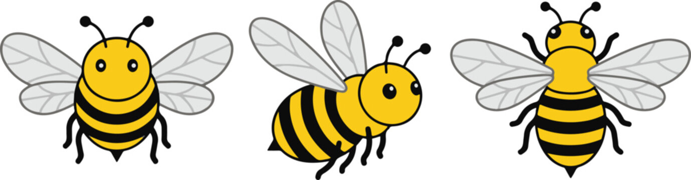 Cute honey bee cartoon characters set, 3 bumblebee vector illustrations in different poses, yellow and black striped flying insects for kids education