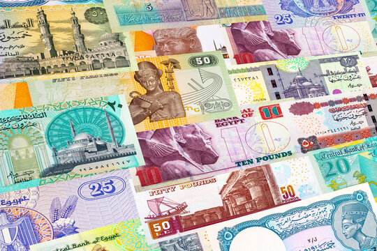 Egyptian Pound banknotes. Macro shot of various denominations of Egyptian currency. African money.