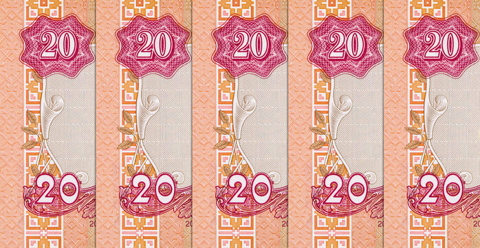 20 hryvnia banknote of Ukraine with the image of the Lviv Opera House. Paper money of Ukraine.