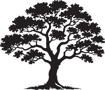 Oak tree silhouette vector icon, majestic old tree with spreading branches, black nature symbol on white background, botanical plant illustration