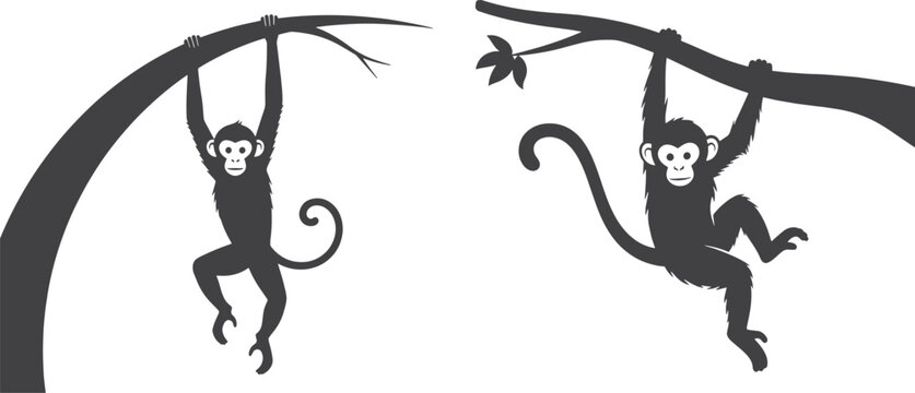 monkey, tree, branch, leaf, animal, wildlife, primate, mammal, black, drawing, cartoon, funny, cute, playful, hanging, grip, tail, hand, climbing, arboreal