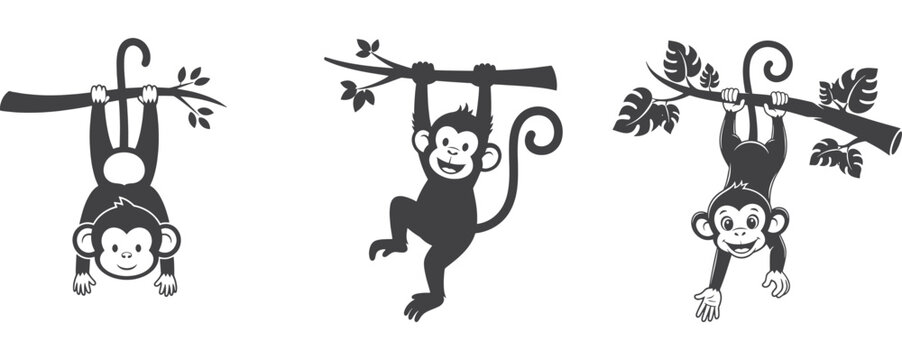 Three monkeys hanging from branches in different poses isolated on white background