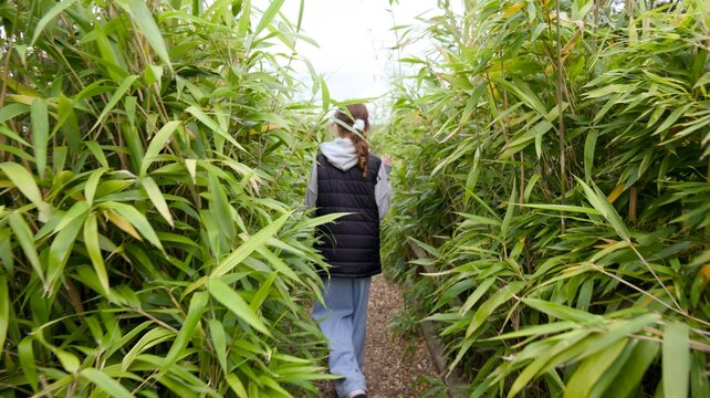 Back view of a girl exploring a lush green bamboo forest pathway