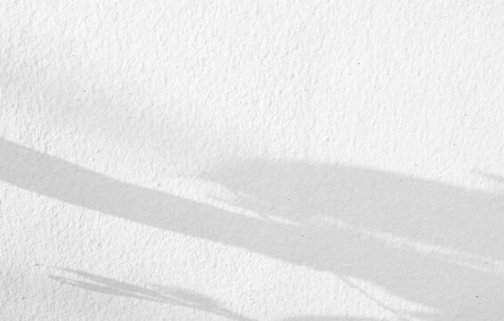 Background shadow white light wall floor backdrop overlay leaf mockup summer sunight overlay nature on room cement abstract blur muckup effect grey minimal platform for presentation product