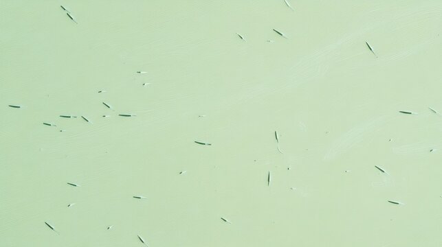 Aerial view of numerous black birds scattered and flying over a pale green surface, possibly water or land, ai children's learning backgrounds for kids